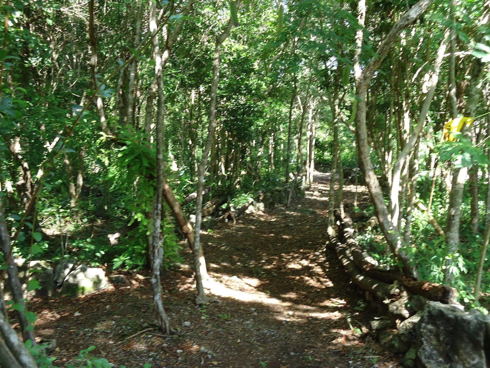 Casa Miriam Сasa de vacaciones